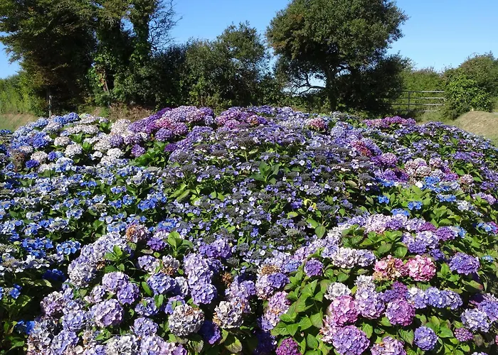 Hébergement de vacances Rose Des Sables