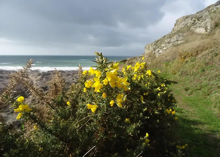 Hébergement de vacances Rose Des Sables *