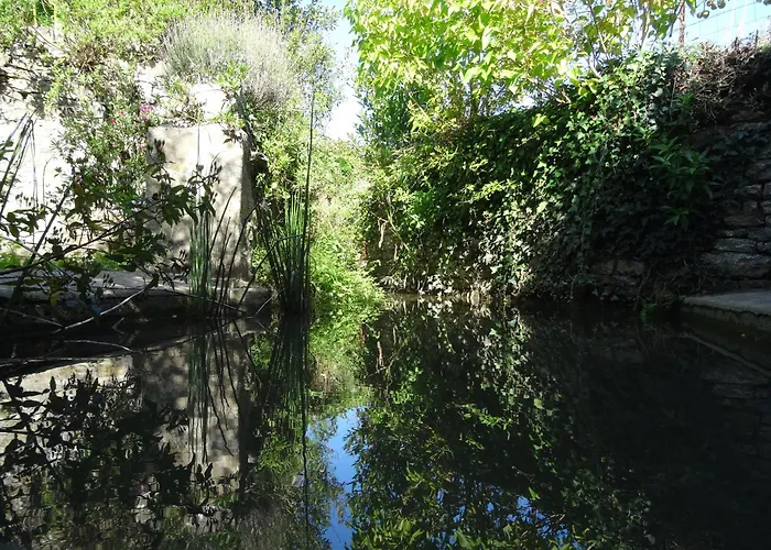 Rose Des Sables Surtainville