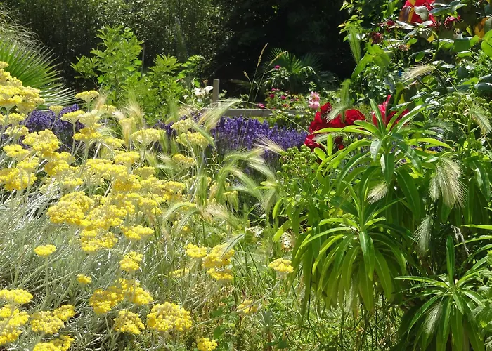 Rose Des Sables Hébergement de vacances *