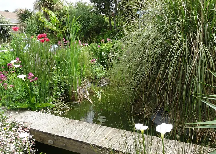 Rose Des Sables * Surtainville